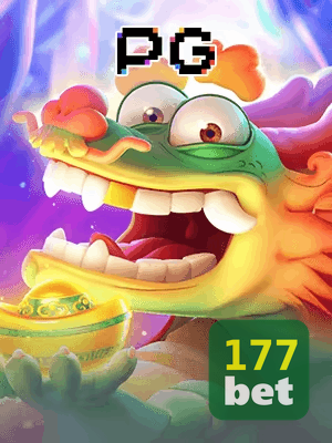 177WIN bet — painel ao vivo com cotações dinâmicas