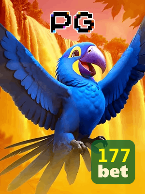 177WIN bônus — cashback 15 por cento e níveis VIP