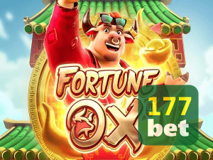 177WIN login — painel de entrada no app oficial