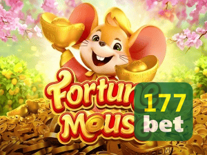 177WIN login — configurações de segurança e proteção de conta